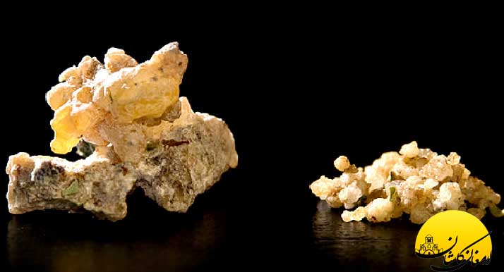 خواص عرق خارشتر