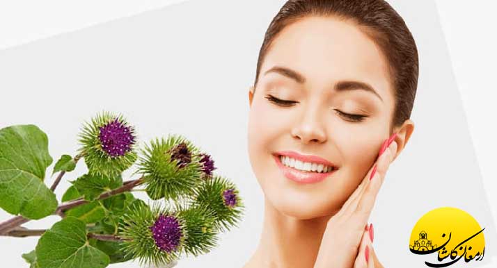 خواص عرق بابا آدم