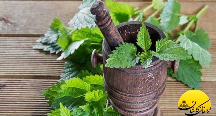 جالب ترین خواص گزنه را بدانید