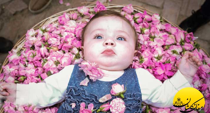 فواید گلاب و خواص دارویی گلاب