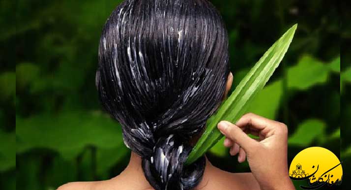 خواص آلوئه ورا