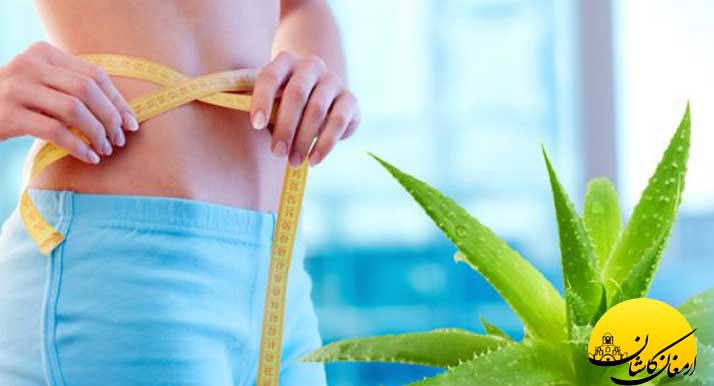 خواص آلوئه ورا