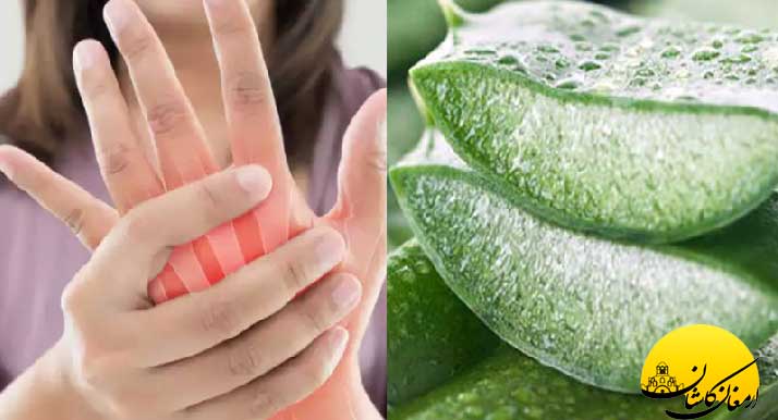 خواص آلوئه ورا