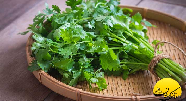 خواص باور نکردنی گشنیز