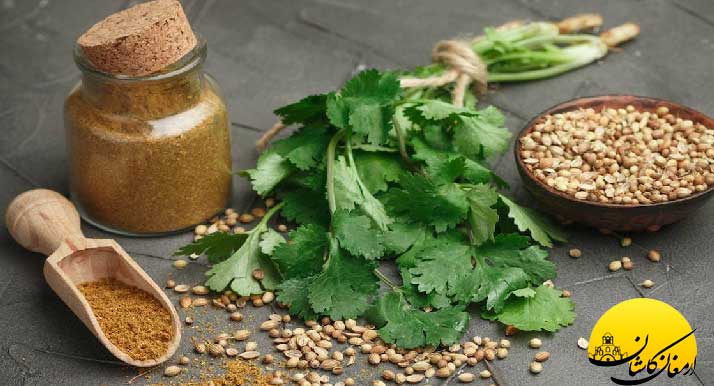 خواص باور نکردنی گشنیز