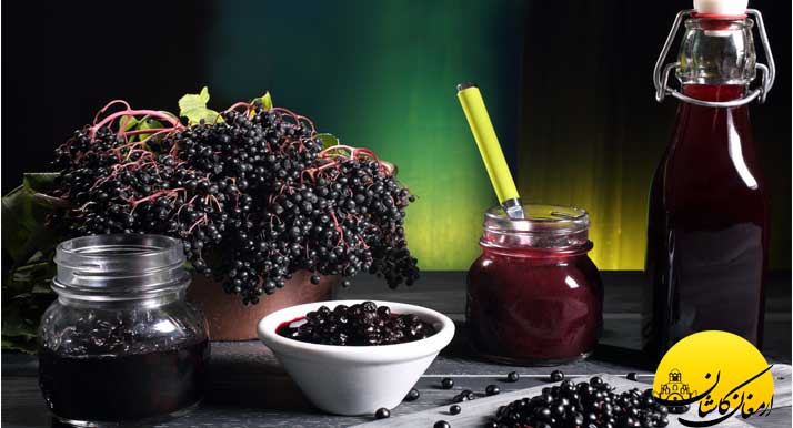 معرفی گیاه آقطی و خواص بی نظیر آن Elder