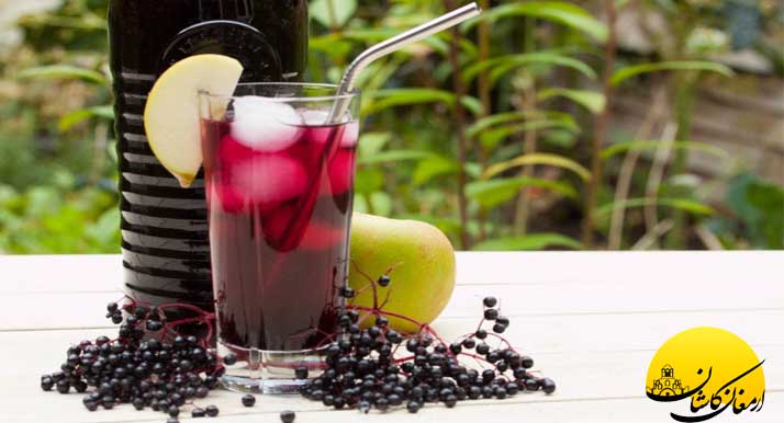 معرفی گیاه آقطی و خواص بی نظیر آن Elder