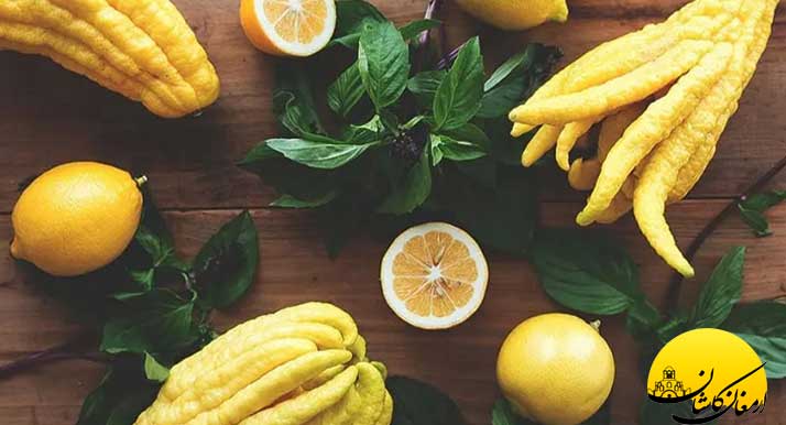 فواید و خواص عرق بهار نارنج Tangerine fruit