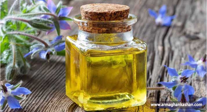 آشنایی با هزار و یک خاصیت گل گاوزبان که نمی دانستید Viper's-buglosses