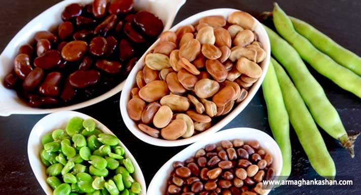 سیر تا پیاز خواص دارویی انواع باقلا برای همه Broad bean
