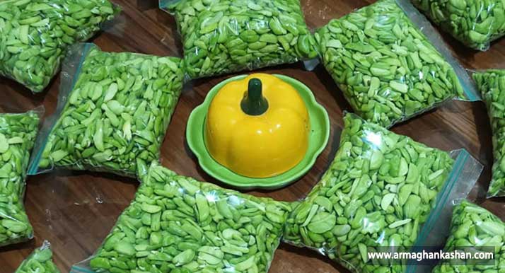 سیر تا پیاز خواص دارویی انواع باقلا برای همه Broad bean