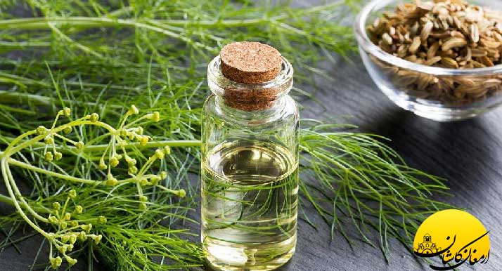 خواص شوید خشک