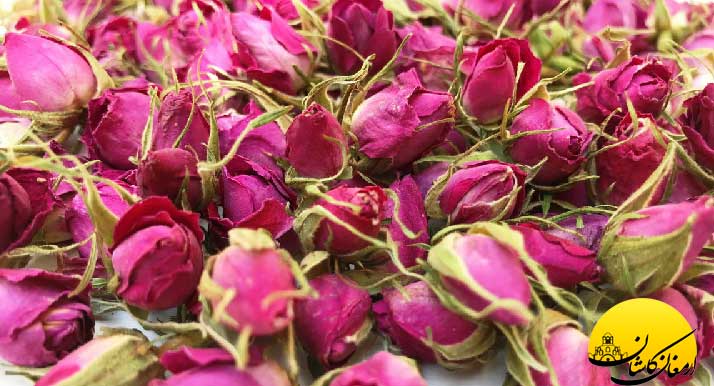 فواید گلاب و خواص دارویی گلاب