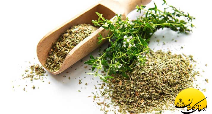 فواید آویشن و عرق آویشن Types-of-thyme
