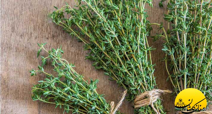 فواید آویشن و عرق آویشن