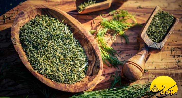 خواص شوید خشک