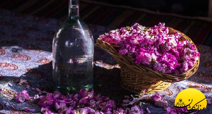 مراسم گلابگیری کاشان Types of roses