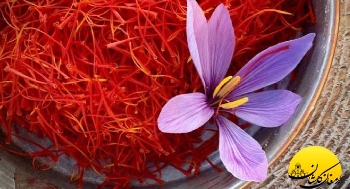 گیاهان دارویی قاعده آور اورژانسی