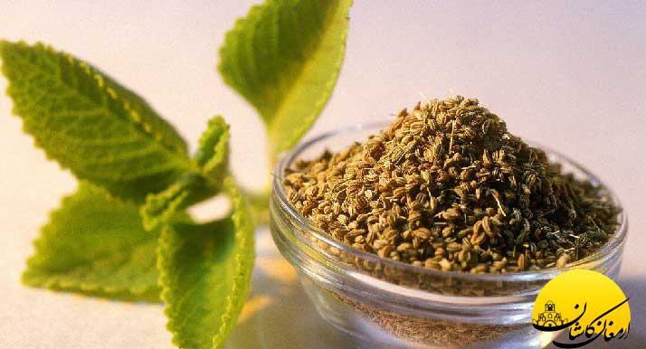 معرفی مهمترین عرقیات گیاهی هر استان
