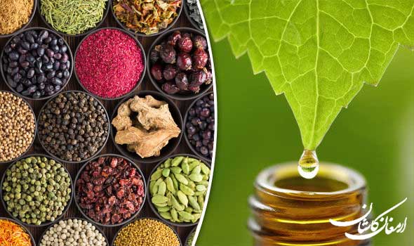 عرقیات گیاهی اصل ارمغان کاشان (21 مهر) خرید مطمئن و کیفیت بالا عرقیات گیاهی