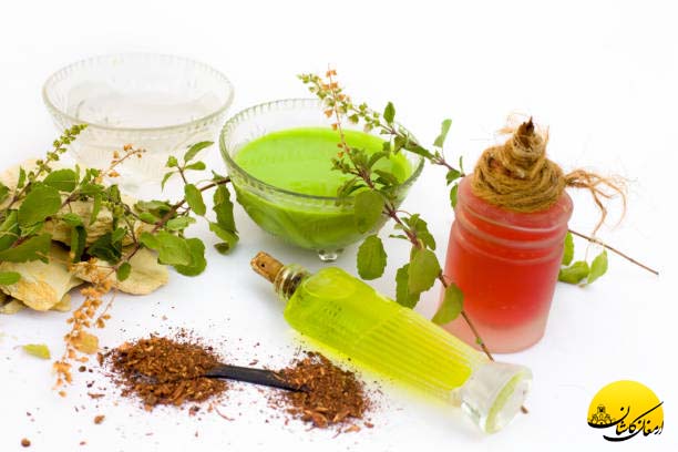 🌿معجون‌های گیاهی برای تقویت سیستم ایمنی؛ چه بنوشیم و چه فصلی بهتر است؟